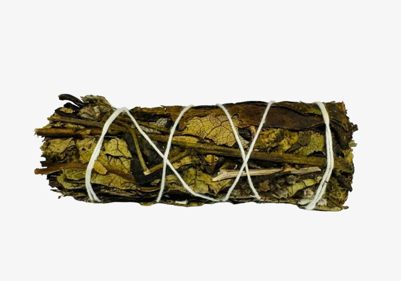 Yerba Santa 4 Inch