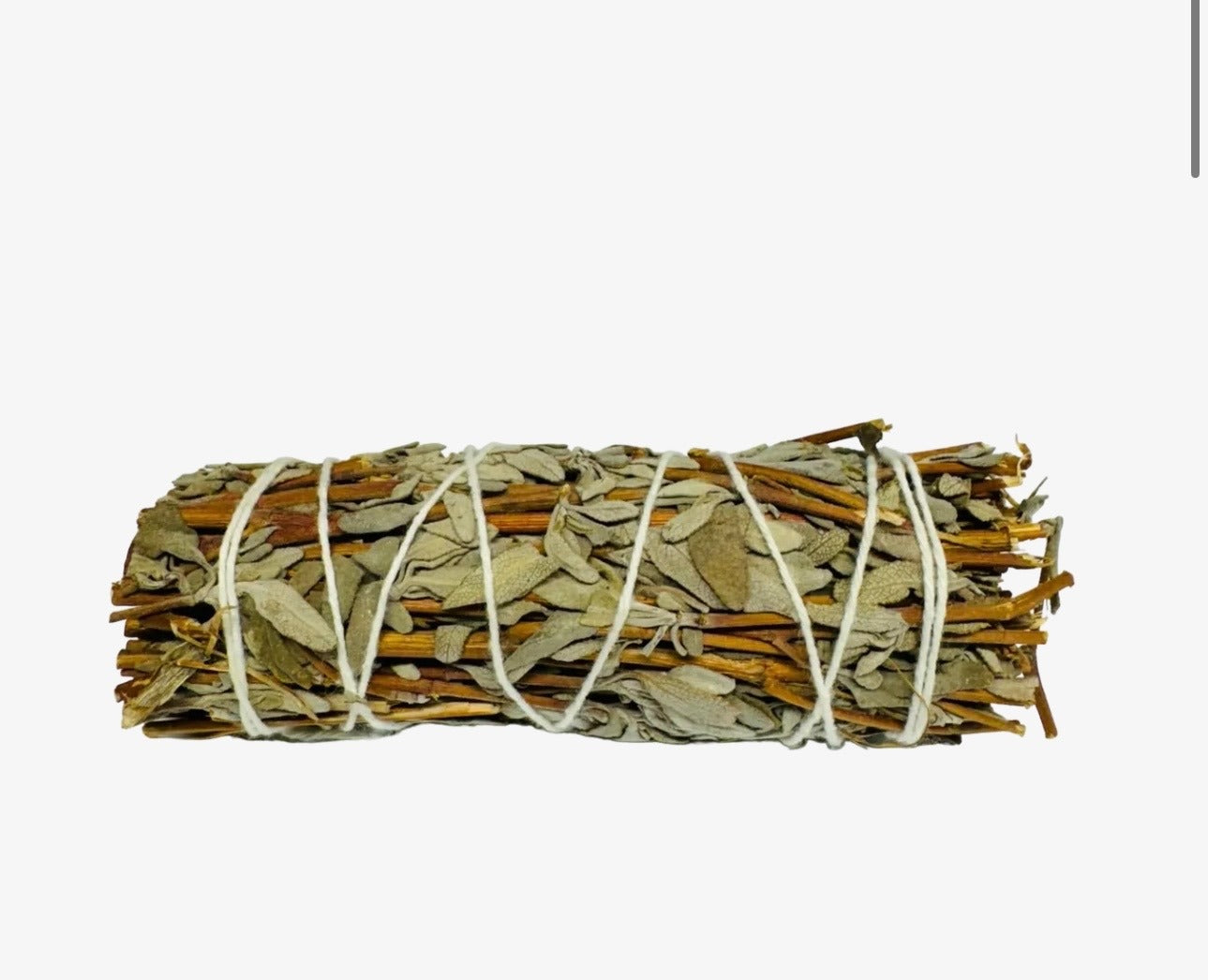 Black Sage 4 Inch