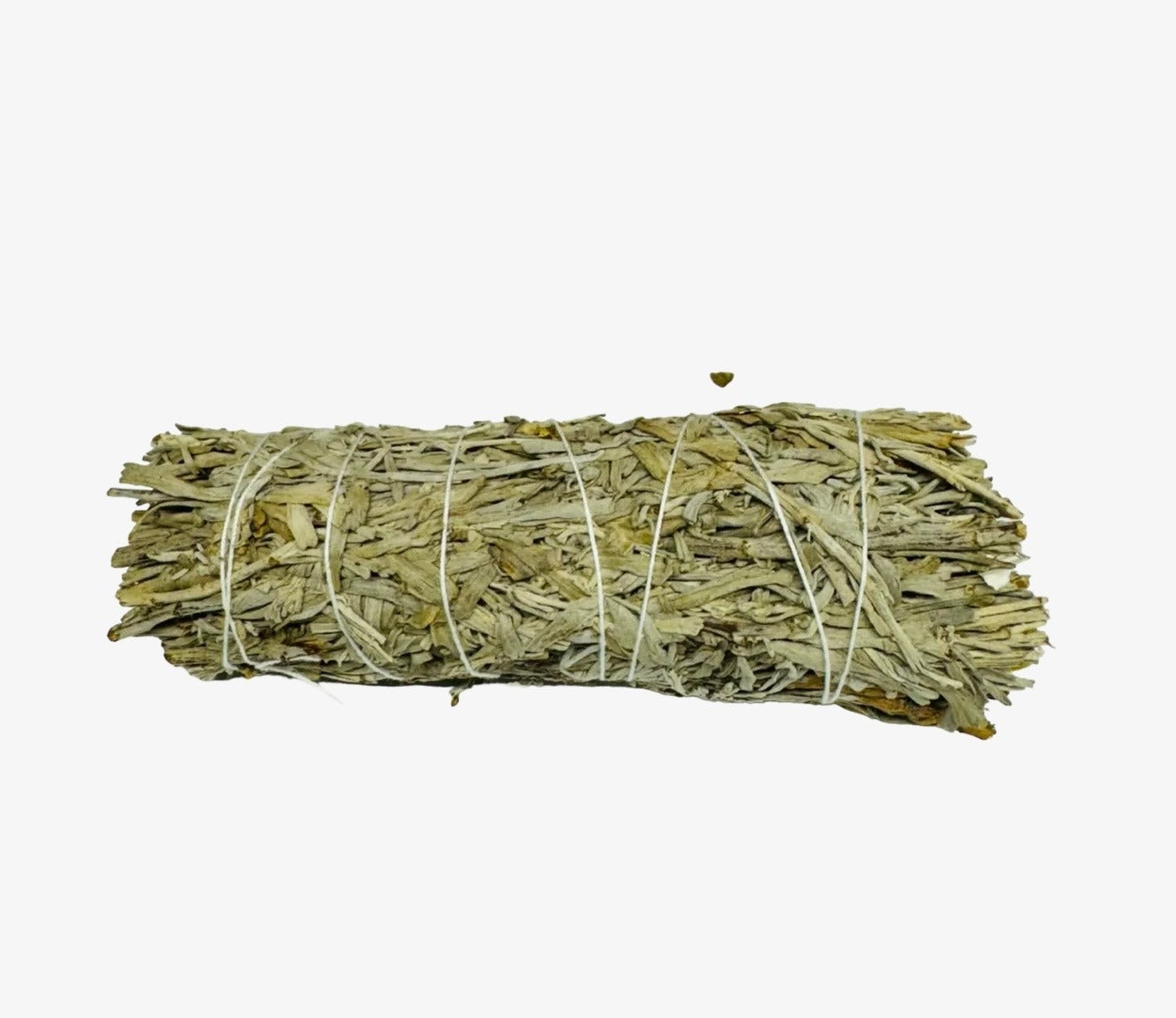 Blue Sage 4 Inch