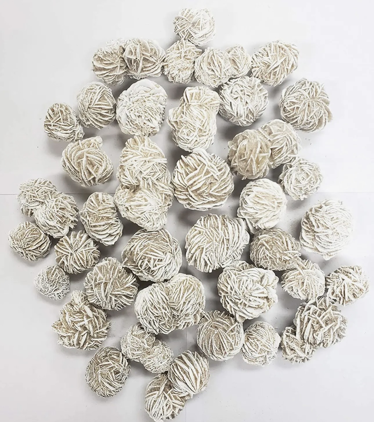 Desert Rose