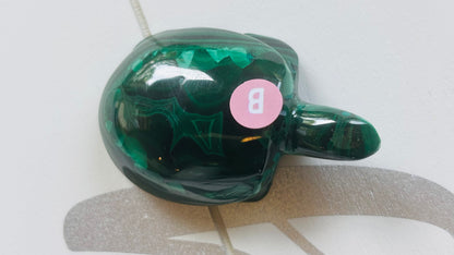 Malachite Turtles
