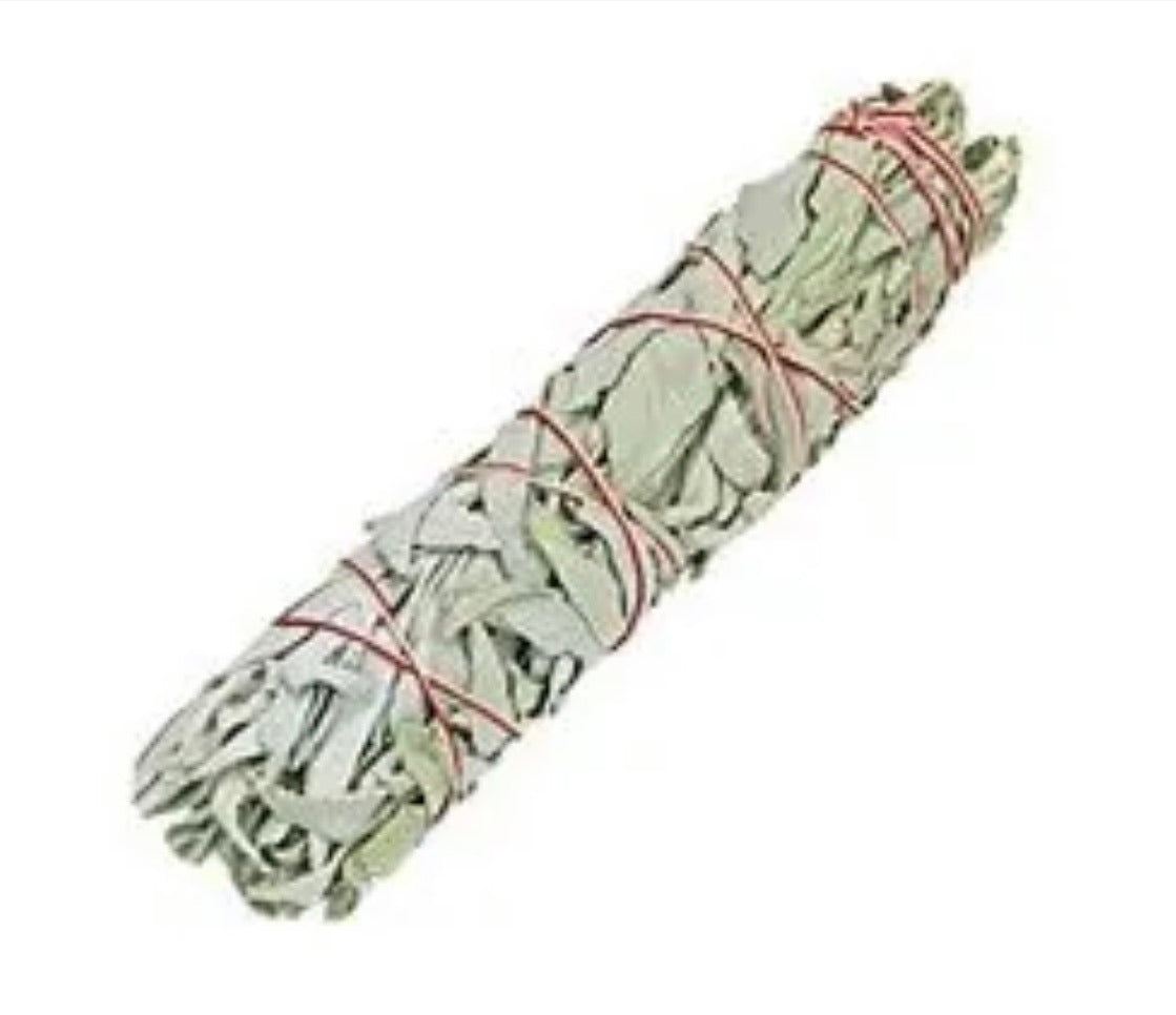 White Sage 8 to 9 Inch