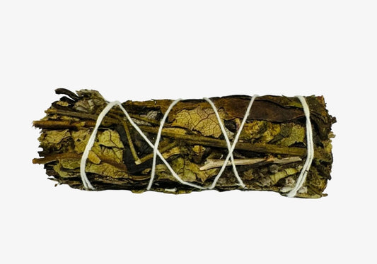 Yerba Santa 4 Inch