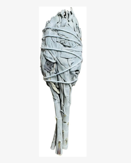 Torch White Sage 4 Inch