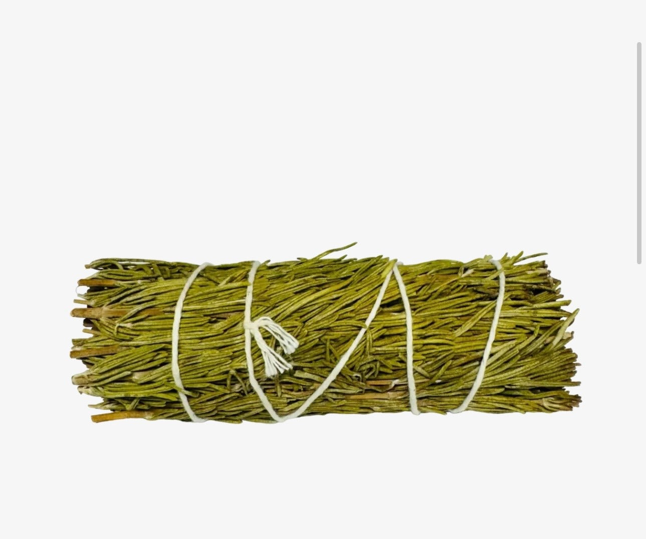 Rosemary 4 Inch