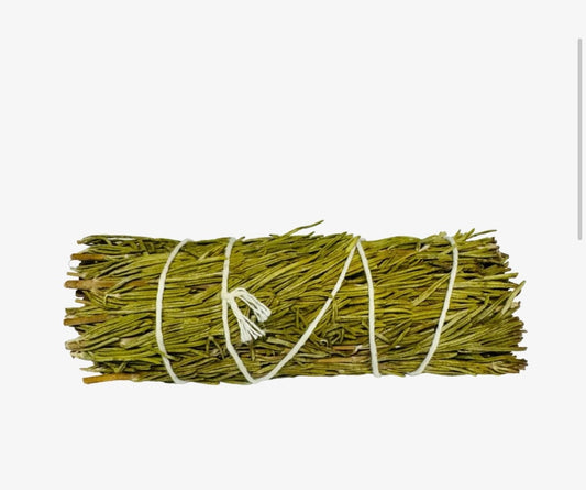 Rosemary 4 Inch
