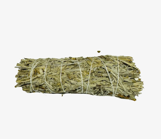 Blue Sage 4 Inch
