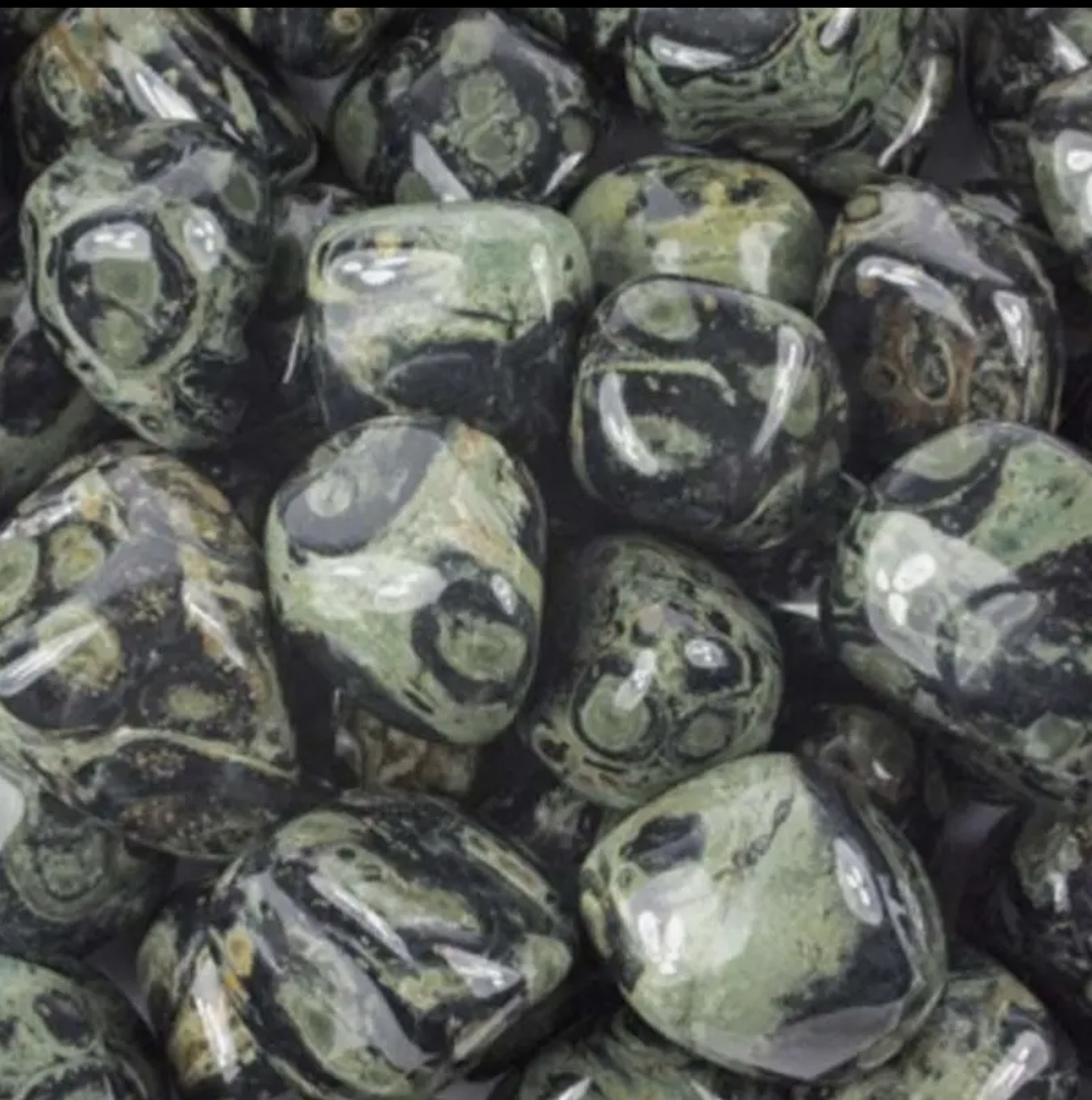 Kambaba Jasper