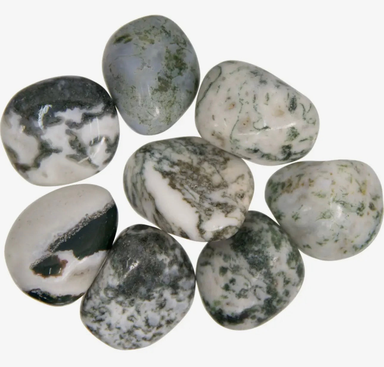 Tree Agate